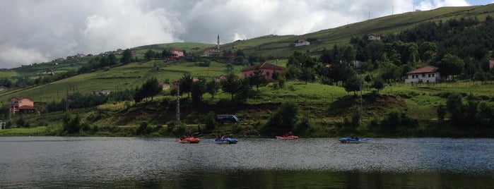 Perşembe Yaylası is one of ordu.