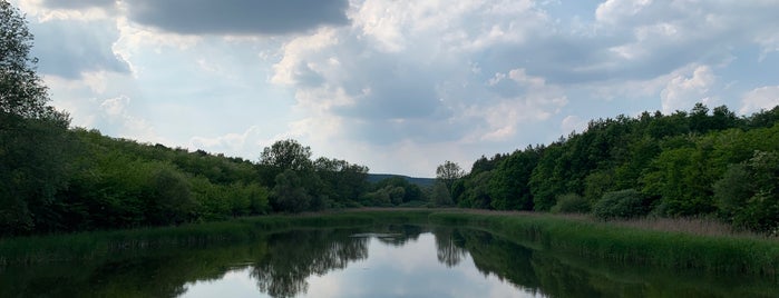 Babati Horgásztó is one of Sightseeing & Services: Gödöllő.
