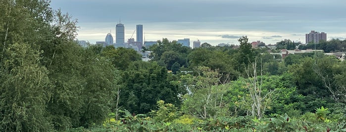 Torbert Macdonald Park is one of boston.