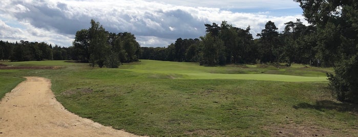 Hilversumsche Golfclub is one of Golf Course Holland.