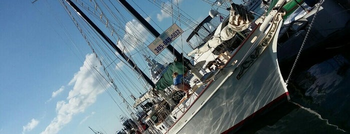 Spirit of Independence is one of Key West Visited.