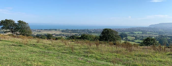 Brading Downs is one of Isle Of Wight.