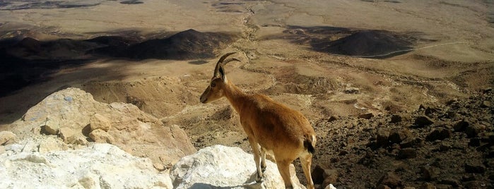 Makhtesh Ramon is one of Florina 님이 좋아한 장소.