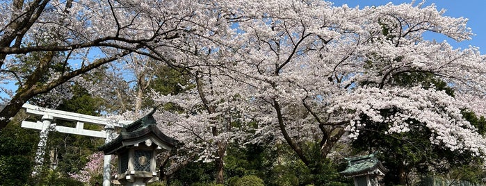 弥彦神社 御神廟 is one of 新潟に行ったらココに行く！ Vol2.