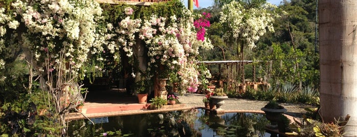 Jardín Botánico Vallarta is one of BUGAMBILIA FESTIVAL PUERTO VALLARTA.