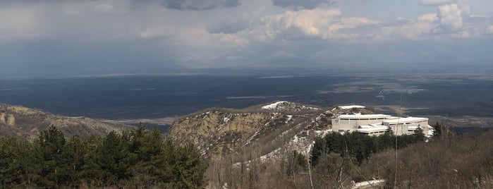 Alazani Valley is one of Грузия Места.