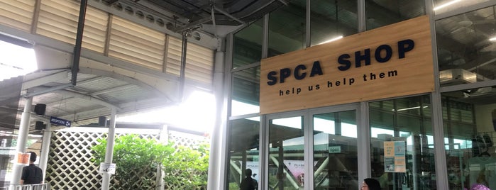 SPCA is one of Tempat yang Disukai Mark.
