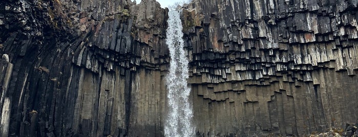 Svartifoss is one of Iceland.