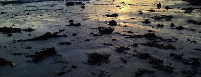 Estero Beach State Park is one of Lugares favoritos de eric.