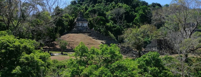 Palenque is one of Tempat yang Disukai Nallely.