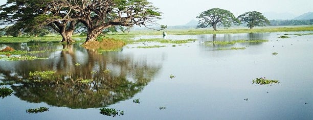 Thissamaharama Lake is one of Sri Lanka.