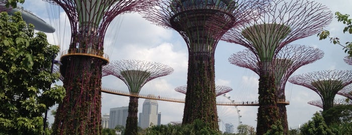 Gardens by the Bay is one of Singapore.