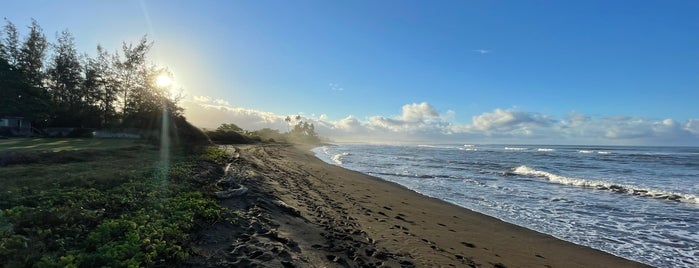 Kekaha Beach is one of Lugares favoritos de Dan.