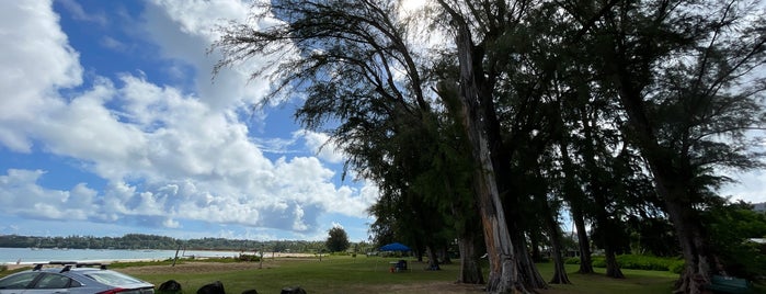 Pine Trees is one of Kauai Adventures.
