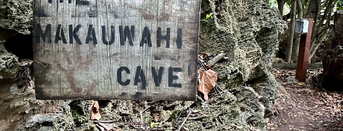 Makauwahi Cave is one of Lieux qui ont plu à Tyler.