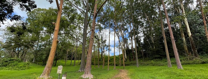 Lihue-Koloa Forest Reserve is one of Orte, die Dan gefallen.