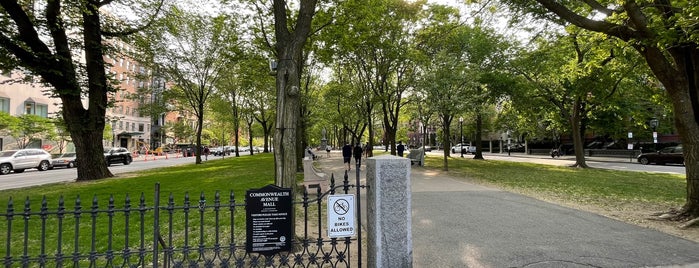 Commonwealth Park is one of Must-visit Parks in Boston.