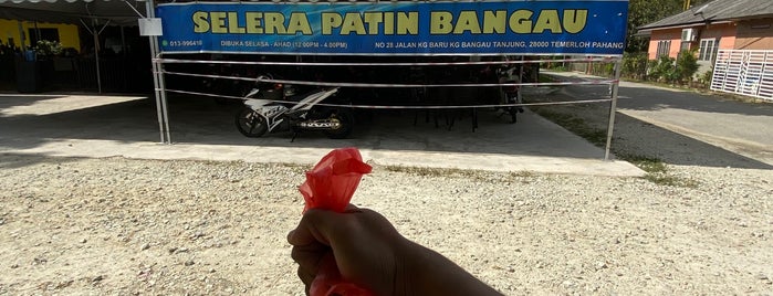 Selera Patin Bangau is one of Worth Trying in Pahang.