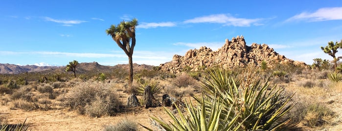 Joshua Tree National Park is one of Top spots.