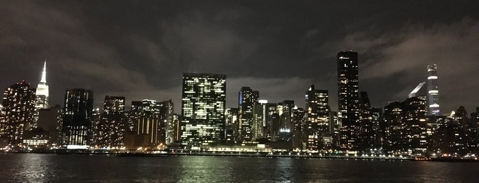 Gantry Plaza State Park is one of Taniaさんのお気に入りスポット.