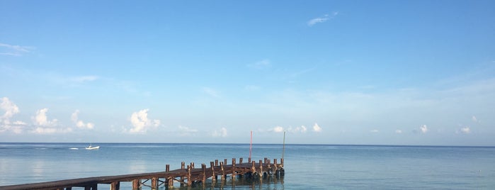 Muelle is one of สถานที่ที่ Vanessa ถูกใจ.