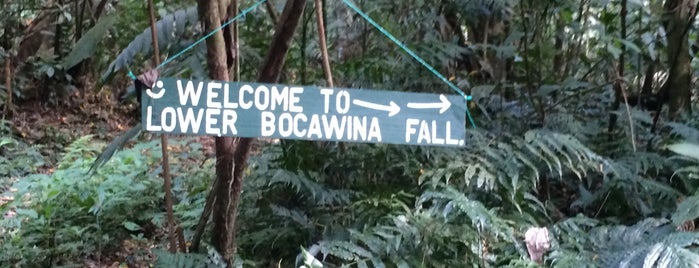 Bocawina Rainforest Resort & Adventures is one of Orte, die Lovely gefallen.