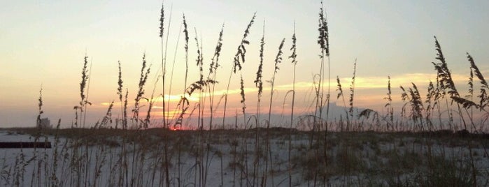 Gulf State Park is one of Gulf Shores, AL.