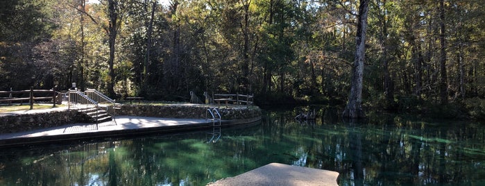 Ponce de Leon State Park is one of FL Springs.