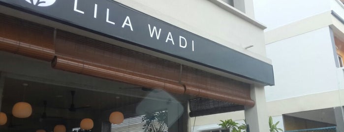 Lila Wadi is one of Locais curtidos por Abir.