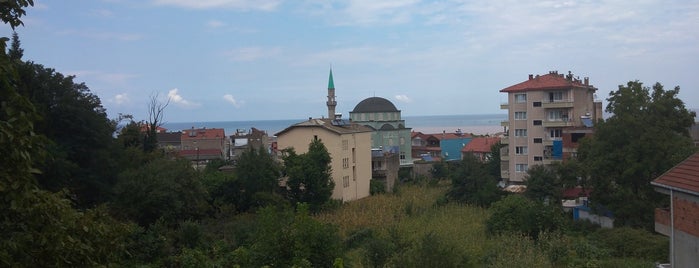 Tekkeönü Liman is one of GİDİLİP/GEZİLMESİ/GÖRÜLMESİ GEREKEN YERLER-2.