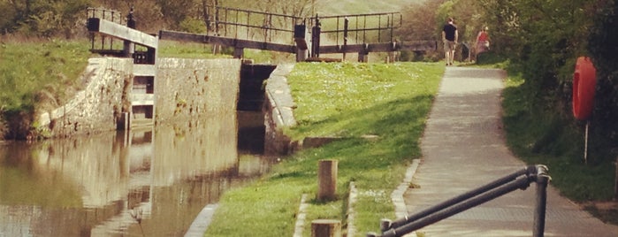 Bude Canal is one of Robertさんのお気に入りスポット.