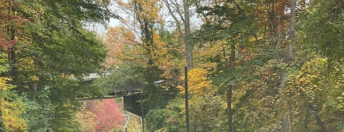 Chain Bridge is one of Fishing.