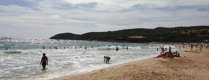 Corse