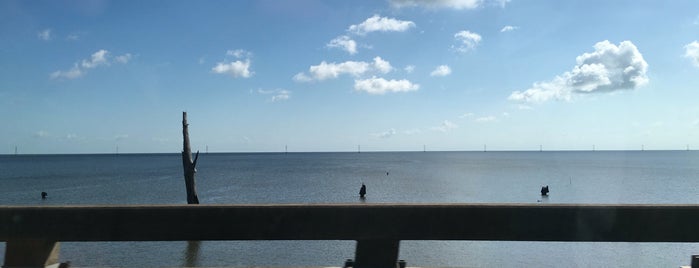 Lake Ponchartrain Bridge is one of Top travel and nearby places.