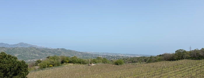 Gambino Vini is one of 🇮🇹 Sicily 🌞🌋🏖🍊🇮🇹.