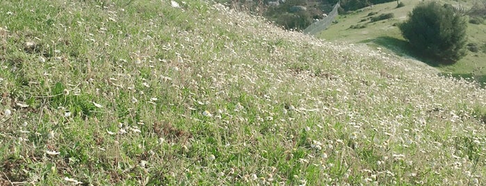 SEYİR TEPE is one of สถานที่ที่ Arzu ถูกใจ.