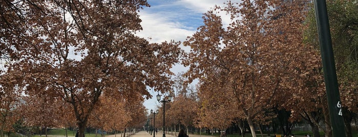 Parque Araucano is one of Locais curtidos por Alexandre.