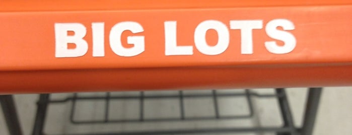 Big Lots is one of Orlando.