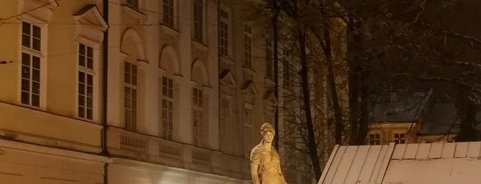 Фонтан Діана / Diana Fountain is one of Львов.
