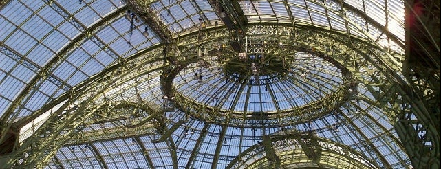 Grand Palais is one of HangOuts x Shops x Sport.