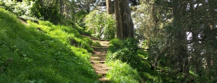 Buena Vista Park is one of Father's Day Itineraries in 10 U.S. Cities.