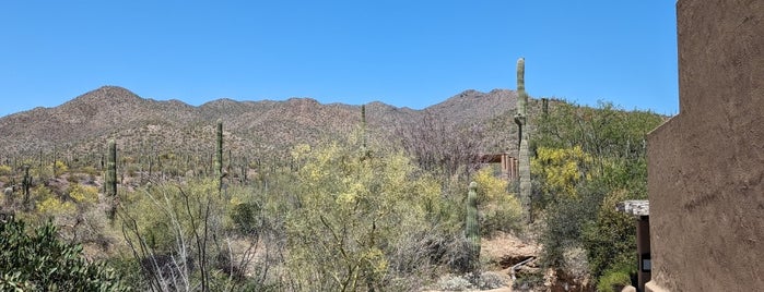 Arizona-Sonora Desert Museum is one of Tucson.