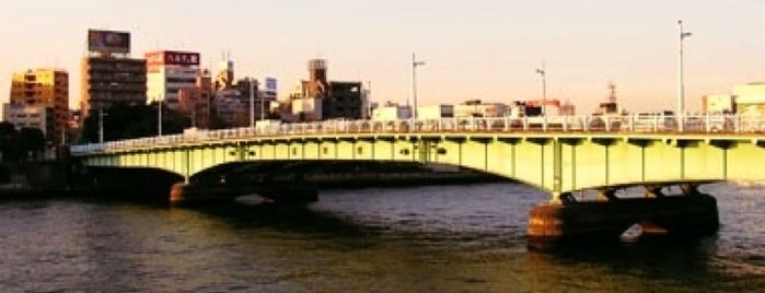 言問橋 is one of 都選定歴史的建造物.