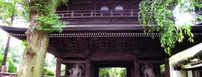 高安寺山門 is one of 都選定歴史的建造物.