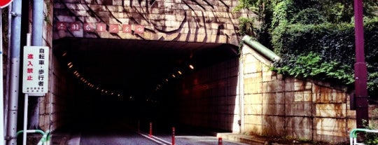 東北新幹線・埼京線 赤羽台トンネル is one of 東京隧道.