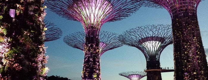 Gardens by the Bay is one of Singapore 3 Hours: Face the future.