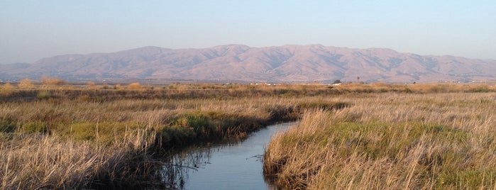 Alviso Marina County Park is one of Milpitas.
