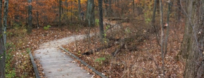 Blacklick Woods Metro Park is one of Columbus Area Parks & Trails.