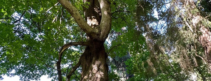 South Whidbey State Park is one of Washington State.