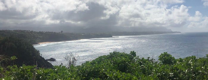 Kilauea Point National Wildlife Refuge is one of Jingyuanさんのお気に入りスポット.